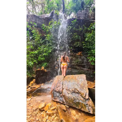 Lavínia🌻 (mysteriesofvixen) Header Photo Added 2024-09-02